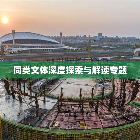 同類文體深度探索與解讀專題