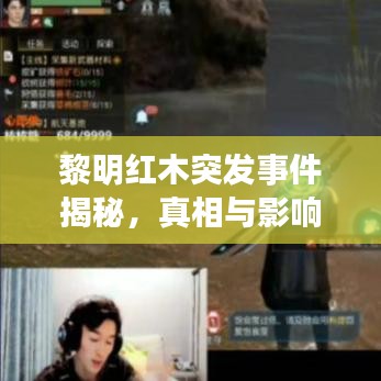 黎明紅木突發(fā)事件揭秘，真相與影響探究