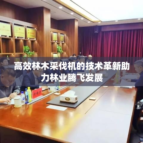 高效林木采伐機的技術革新助力林業(yè)騰飛發(fā)展