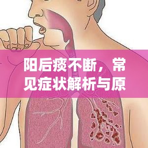 陽后痰不斷，常見癥狀解析與原因探究