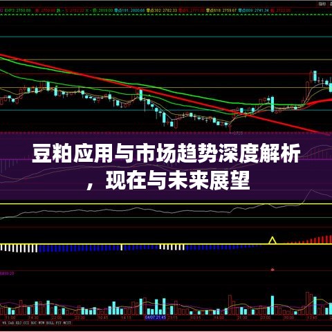 豆粕應(yīng)用與市場(chǎng)趨勢(shì)深度解析，現(xiàn)在與未來(lái)展望