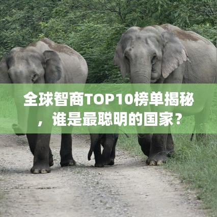 全球智商TOP10榜單揭秘，誰是最聰明的國家？