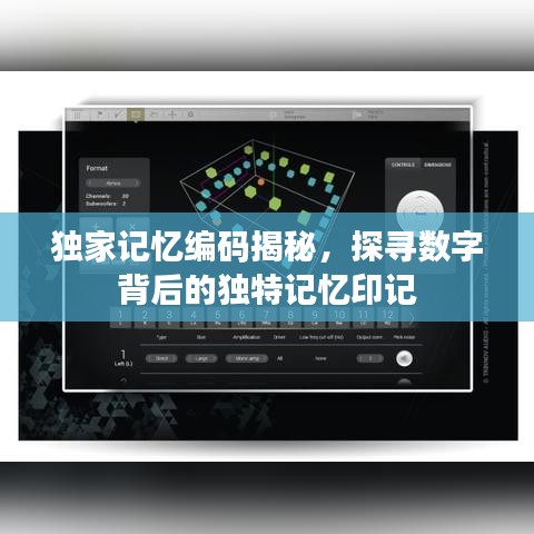 獨家記憶編碼揭秘，探尋數(shù)字背后的獨特記憶印記