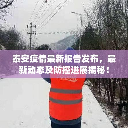 泰安疫情最新報(bào)告發(fā)布，最新動(dòng)態(tài)及防控進(jìn)展揭秘！