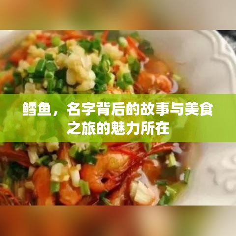鱈魚(yú)，名字背后的故事與美食之旅的魅力所在