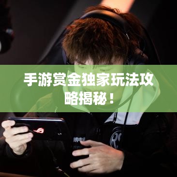 手游賞金獨家玩法攻略揭秘！