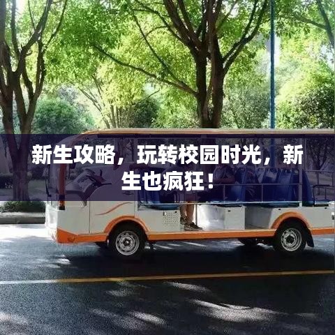 新生攻略，玩轉校園時光，新生也瘋狂！
