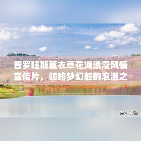 普羅旺斯薰衣草花海浪漫風(fēng)情宣傳片，領(lǐng)略夢幻般的浪漫之旅！