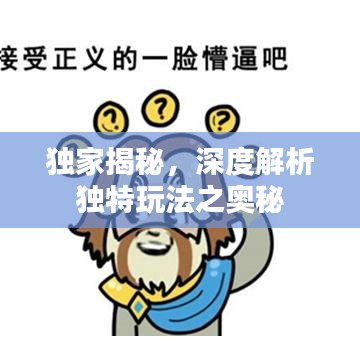 獨家揭秘，深度解析獨特玩法之奧秘