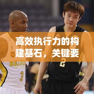高效執(zhí)行力的構(gòu)建基石，關(guān)鍵要素與策略實(shí)施