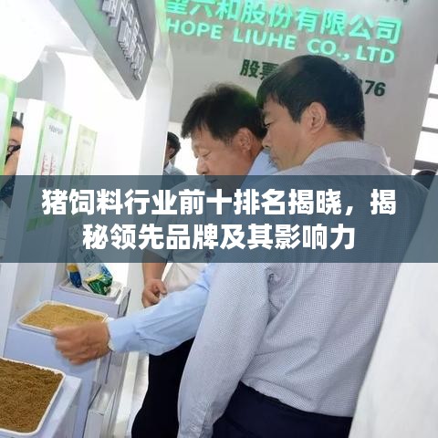 風(fēng)流儒雅 第2頁